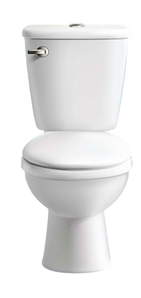 How to choose a toilet?